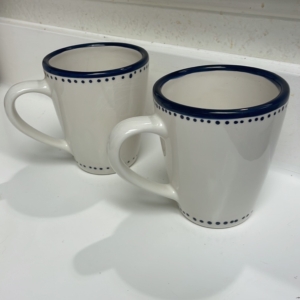 Pottery Barn cup mug set